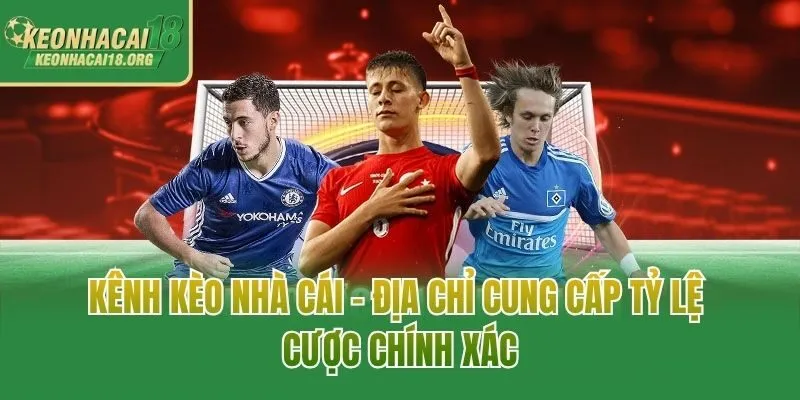 Kênh Kèo Nhà Cái - Địa Chỉ Cung Cấp Tỷ Lệ Cược Chính Xác